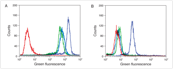 Detection of epidermal growth factor (EGF) receptors 