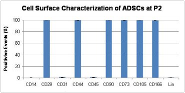 Bar graph showing percentage of ADSCs expressing various cell surface proteins.