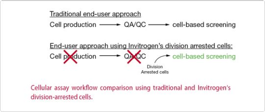 GeneBLAzer Cellular Assay