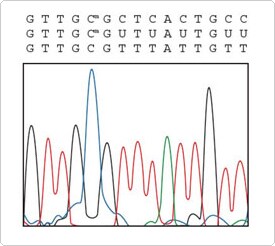 Methylcode Sequence