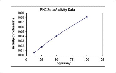 Validated PKC