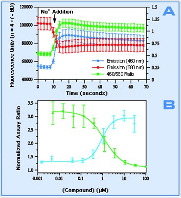 NaV Agonist VSP Assay