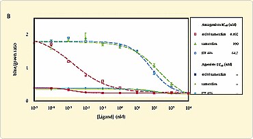 GeneBLAzer Partial Agonist Antagonist