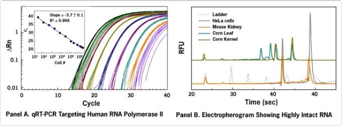 Recovery of total RNA from a wide range of cell numbers and sample types.