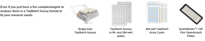 ֻҪ/е㣬ҲоҪTaqMan Assay