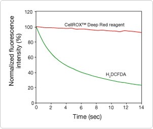 CellROX™ Deep Red reagent