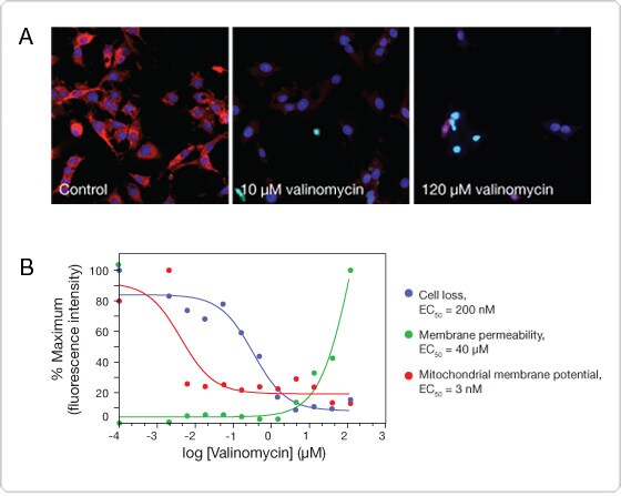 Multiplex cell analysis