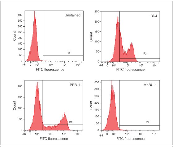 Anti-BrdU antibody clone MoBU-1
