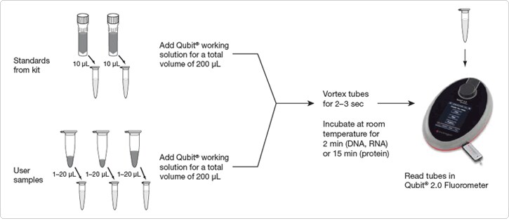 The Qubit workflow