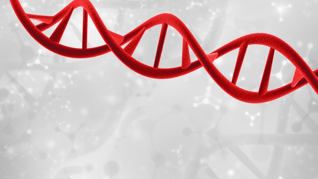PubSummary | HLA-OLI: A new MHC class I pseudogene and HLA-Y are located on a 60 kb indel in the human MHC between HLA-W and HLA-J