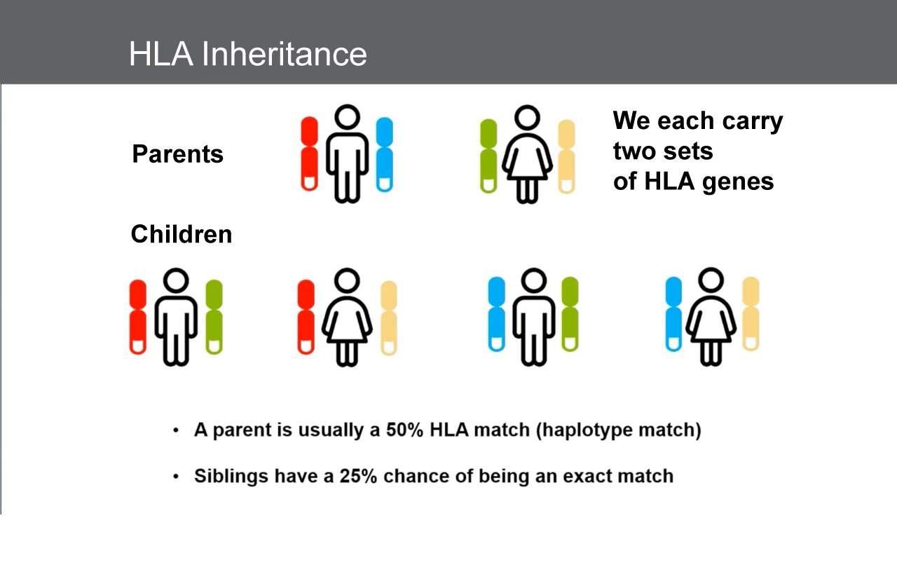 The Role of the HLA Laboratory