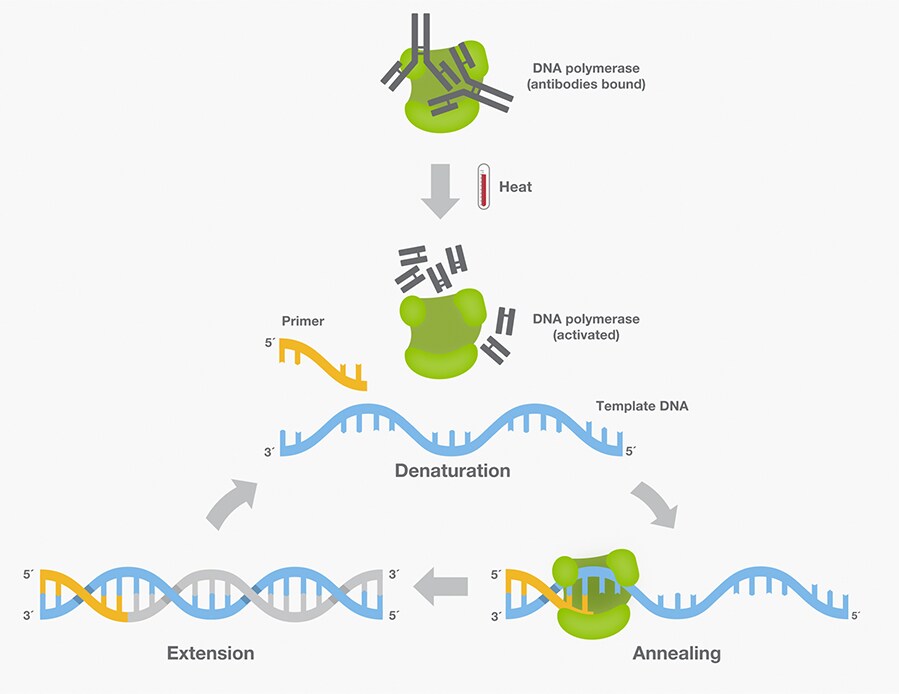 The Interdimensional 12 Strand Dna Activation