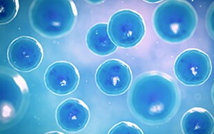 1497035530672.jpg 1497035530672.jpg