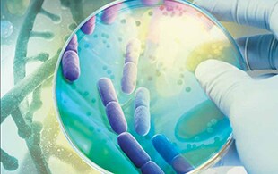 1497035530667.png 1497035530667.png