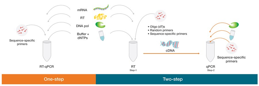 one-step RT-qPCR and two-step RT-qPCR