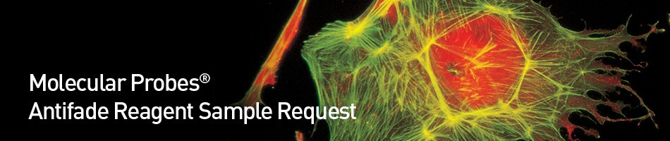 Molecular Probes Antifade Reagent Sample Request