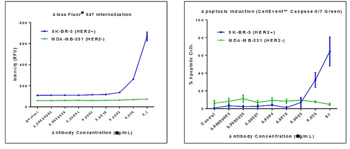 Trastuzumab-Alexa-Fluor-647-MMAE-Conjugates Trastuzumab-Alexa-Fluor-647-MMAE-Conjugates