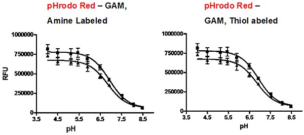 pH-sensitive pHrodo-Antibody Conjugates pH-sensitive pHrodo-Antibody Conjugates
