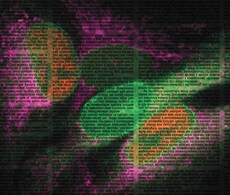 cell analysis application notes cell analysis application notes