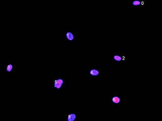 Example of identifying individual objects Example of identifying individual objects