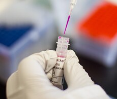 screw-cap vial containing pink-colored liquid that is being withdrawn using a pipette screw-cap vial containing pink-colored liquid that is being withdrawn using a pipette