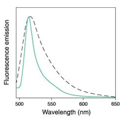 Normalized emission spectra of Cell Sorting Set-up Beads Normalized emission spectra of Cell Sorting Set-up Beads