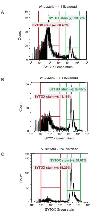 Determining viability of N. oculata Determining viability of N. oculata