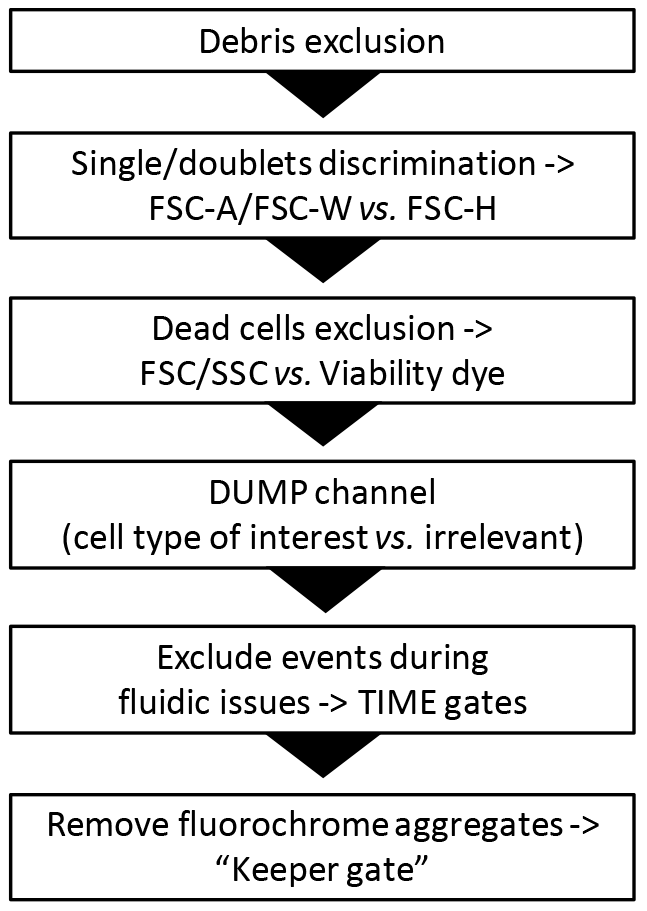 Step by step guidelines to perform an accurate gating strategy Step by step guidelines to perform an accurate gating strategy