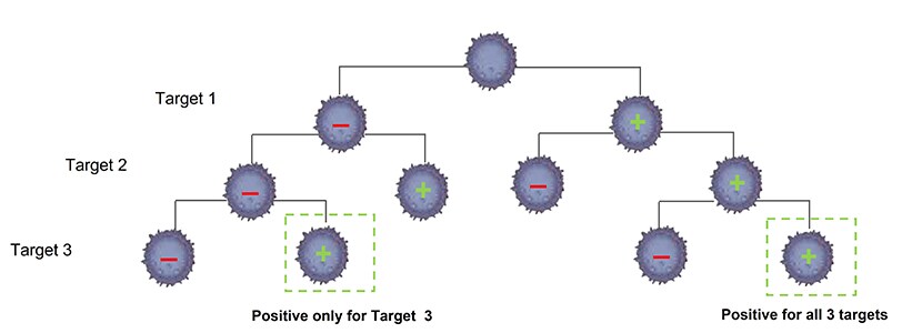 Determining co-expression between targets Visual for how to determine co-expression