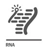 RNA RNA