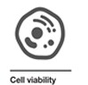 Cell viability Cell viability