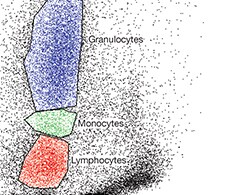 FIX & PERM Cell Fixation & Cell Permeabilization Kit FIX & PERM Cell Fixation & Cell Permeabilization Kit