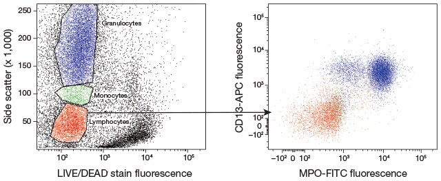 Immunophenotyping of a whole-blood sample Immunophenotyping of a whole-blood sample