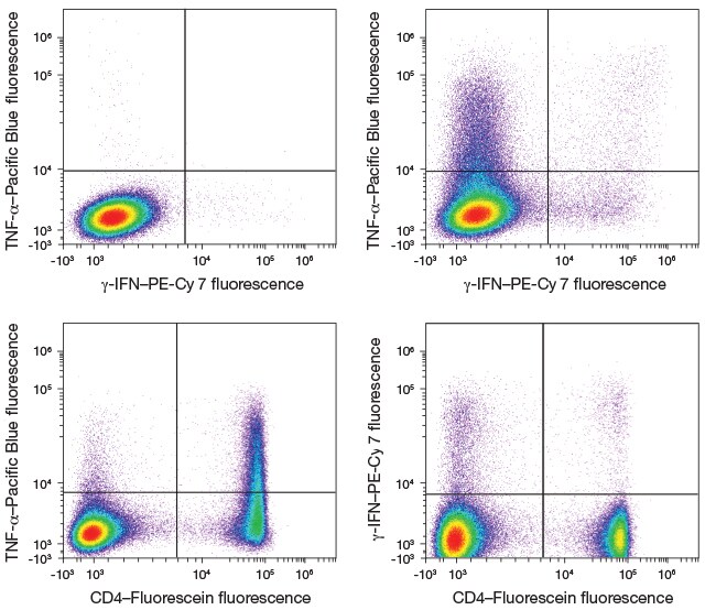 four different flow cytometry scatter plots showing various populations distinguishable using TNF-a, IFN, and CD4 markers four different flow cytometry scatter plots showing various populations distinguishable using TNF-a, IFN, and CD4 markers