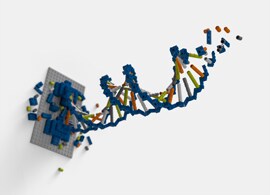 TF_BrickAngle_030320-1 TF_BrickAngle_030320-1