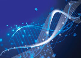 COL19087-shutterstock-672577240 COL19087-shutterstock-672577240