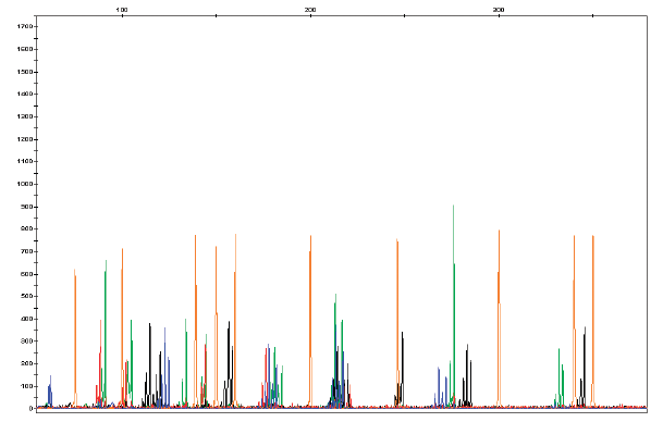 data-images.par.6948.image.609.388.1. data-images.par.6948.image.609.388.1.