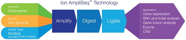 Ion AmpliSeq Technology Ion AmpliSeq Technology
