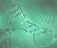 invitrogen collibri library prep kits invitrogen collibri library prep kits