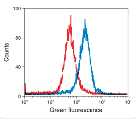 reactive-oxygen-species.par.18281.image.275.240.1.s001769-flow-cytometry-gif reactive-oxygen-species.par.18281.image.275.240.1.s001769-flow-cytometry-gif