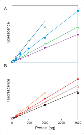 detection-total-protein-profile.par.49091.image.275.441.1.s000187-quantitation-proteins-gel-gif detection-total-protein-profile.par.49091.image.275.441.1.s000187-quantitation-proteins-gel-gif