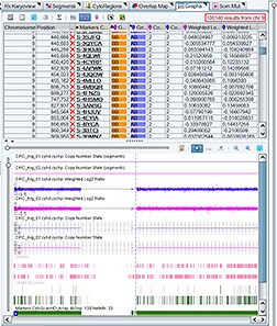 直感的で柔軟なワークフローで正確な分析を実施 直感的で柔軟なワークフローで正確な分析を実施