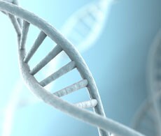 Microarray Analysis Sample Data Microarray Analysis Sample Data