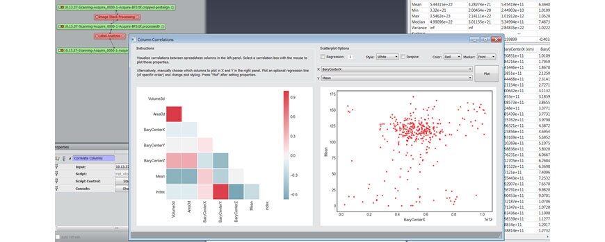 Label analysis Label analysis