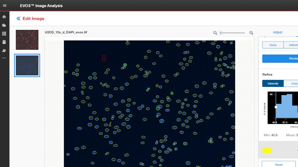EVOS Cell Imaging System Features | Thermo Fisher Scientific - MX