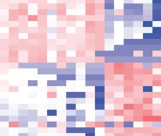 Microarray Data Analysis Microarray Data Analysis