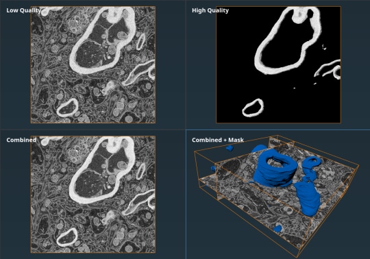 Simplified Import of AutoSlice & View and Adaptive Scanning Data