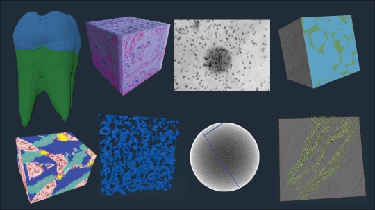 Amira-Avizo eLearning datasets: Image Segmentation