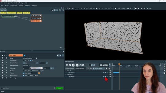 How to Make Animations with the Animation Director