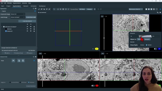 Introduction to the Segmentation+ Workroom Interface